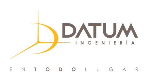 Datum Ing logo