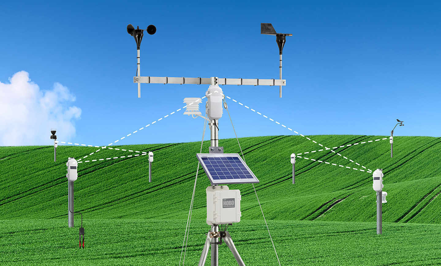 HOBOnet Mesh Sensor Network in Field