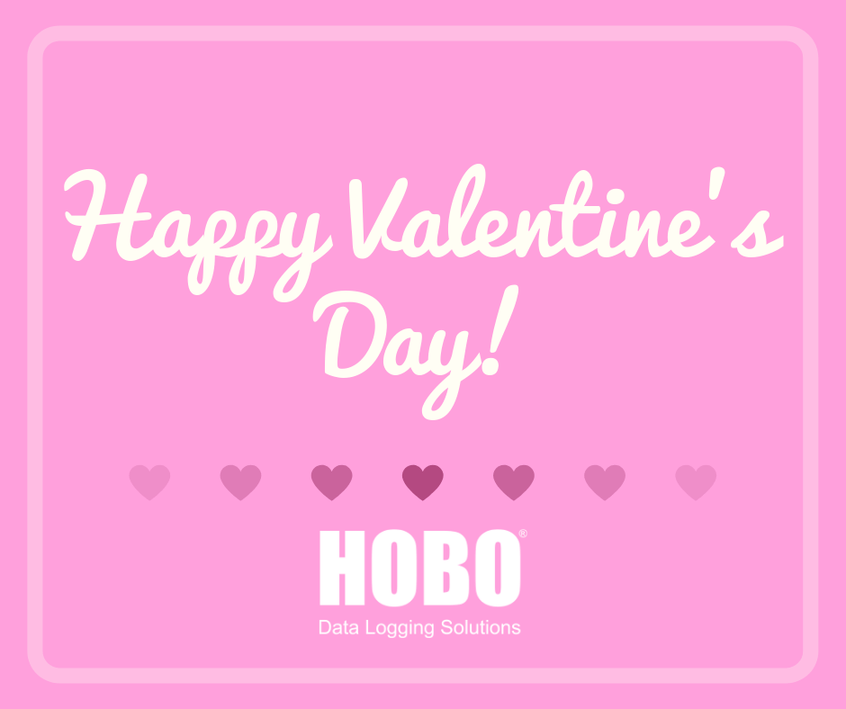 Valentine's Day greeting from HOBO
