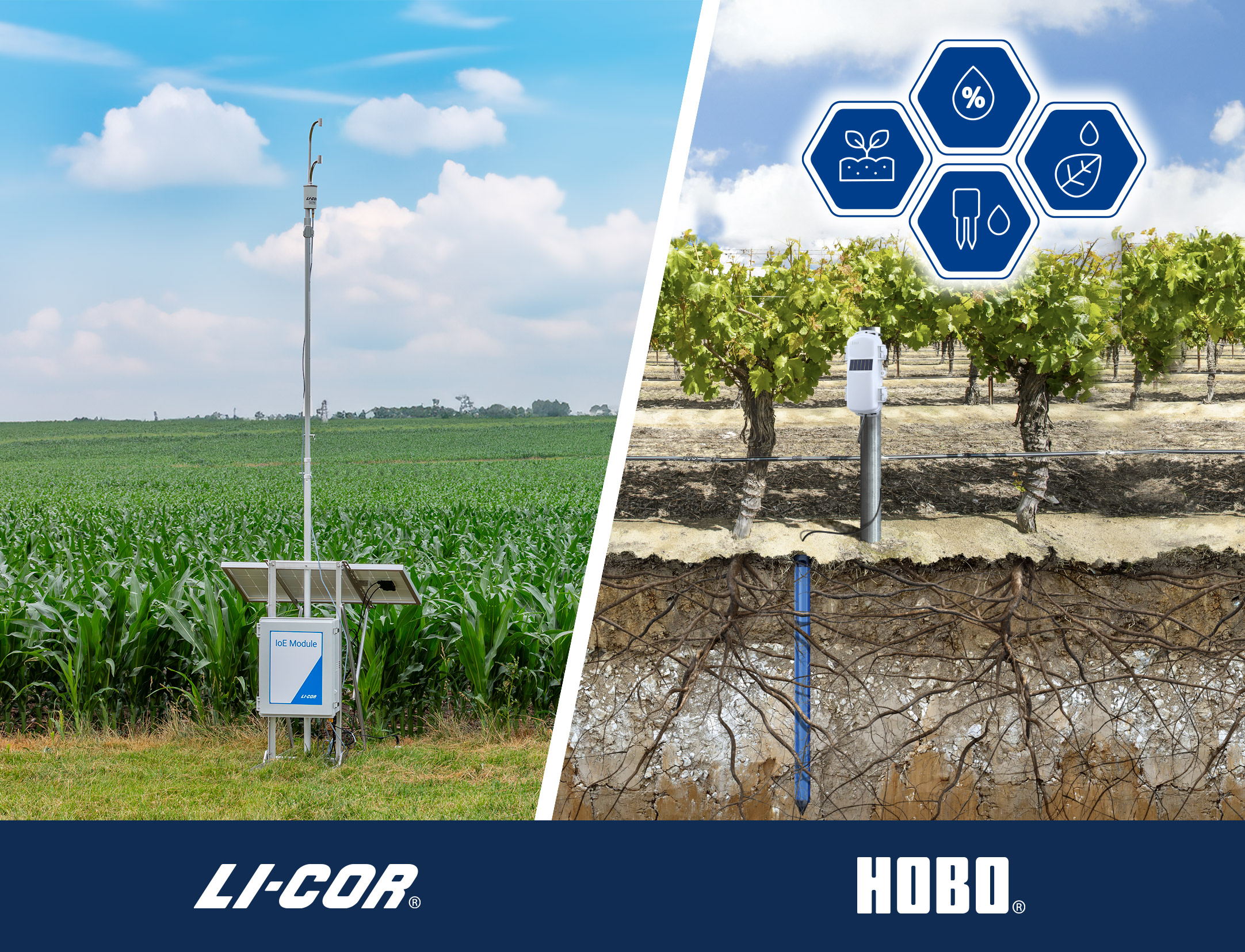 water node and soil moisture sensor network